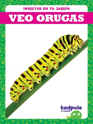 cover image of Veo orugas (I See Caterpillars)